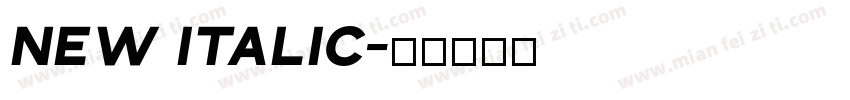 New Italic字体转换
